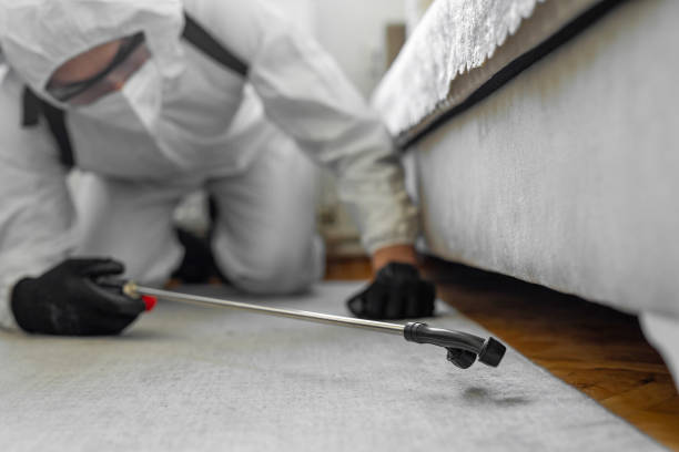 Professional Termite Control technician working in Troy, NC