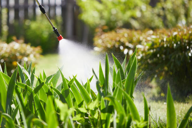 24/7 Emergency Termite Control experts in Troy, NC
