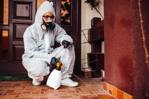 Reliable Termite Control contractor in Troy, NC by Nex Pest Control