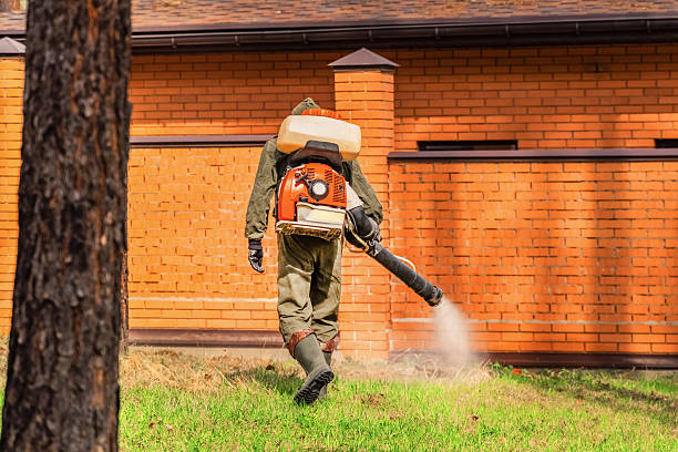 Top rated local Termite Control specialists in Troy, NC